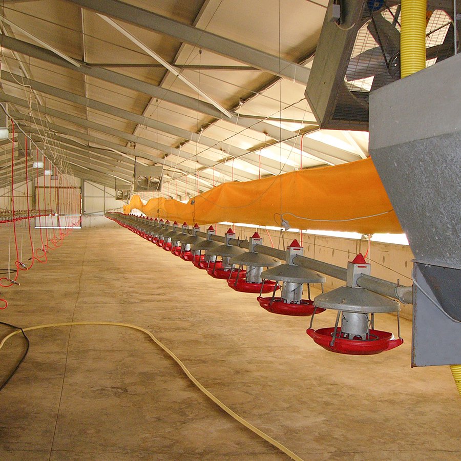 HYM01-0001 Turkey Feeder - image 4